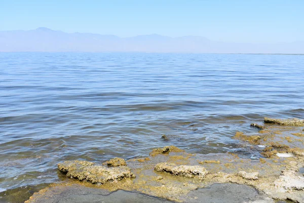 Pemandangan Indah Dari Garis Pantai Laut Salton California — Stok Foto