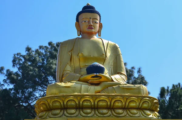 Svislá Socha Zlatého Obra Buddhy Parku Amideva Buddha Káthmándú Nepál — Stock fotografie