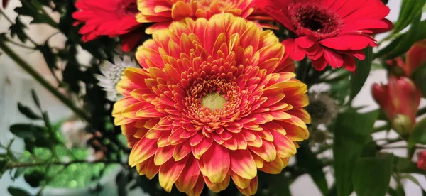 Egy Gyönyörű Csokor Fényes Gerbera Virágüzletben — Stock Fotó