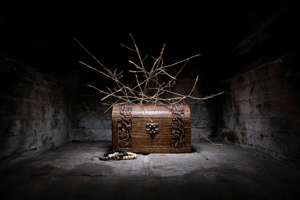暗い背景に乾いた枝を持つヴィンテージの木製の胸 — ストック写真