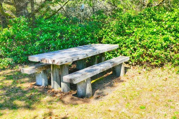 Een Shot Van Een Van Hout Bankje Tafel Het Gras — Stockfoto