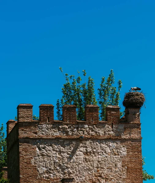 Una Vista Fascinante Una Hermosa Torre Diócesis Católica Alcalá Henares —  Fotos de Stock
