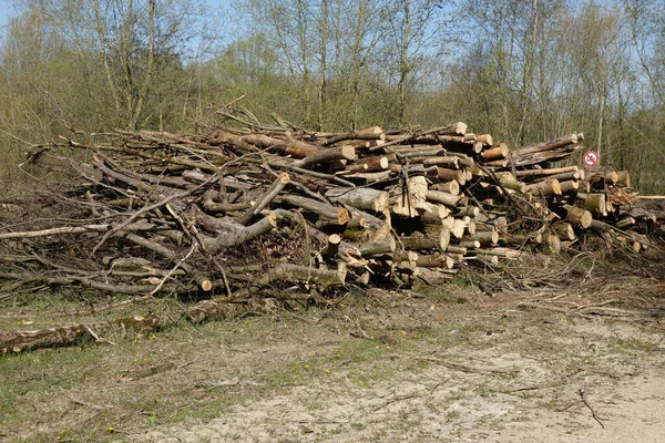 Ein Holzstapel Stapelt Sich Neben Der Straße — Stockfoto