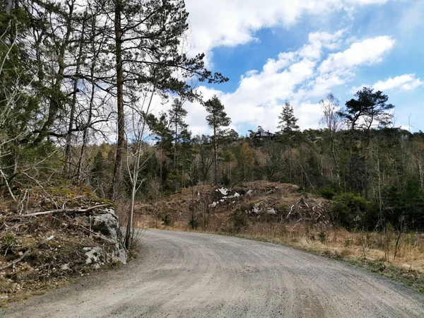 노르웨이 구름낀 나무들이 포장되지 도로의 아름다운 — 스톡 사진