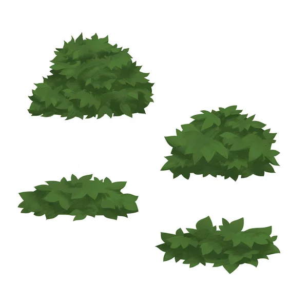 Четыре Зеленых Растения Изолированы Белом Фоне — стоковое фото