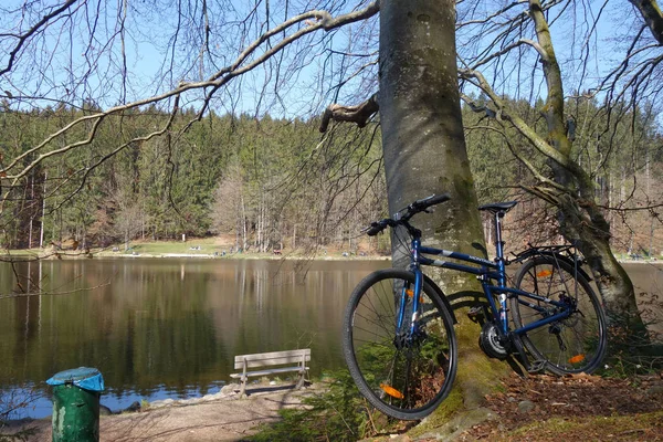 Ein Blaues Fahrrad Lehnt Einem Baum Neben Dem See — Stockfoto