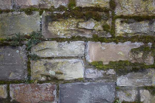 Eine Alte Bunte Steinmauer Mit Moos Bedeckt — Stockfoto