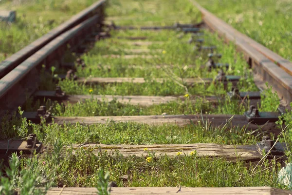 Çimenli Ahşap Demiryolunun Sığ Bir Odağı — Stok fotoğraf