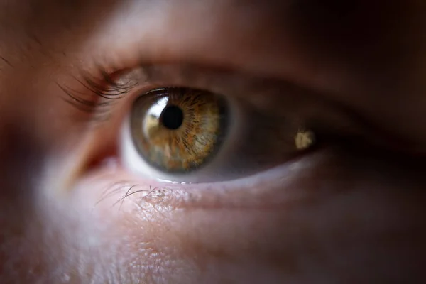 茶色の人間の目の閉鎖 — ストック写真