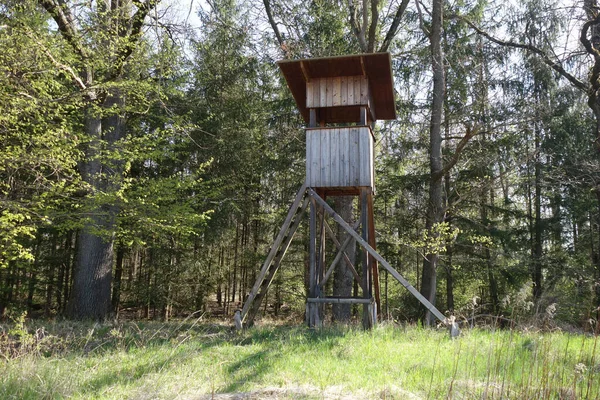 Der Jagdturm Wald — Stockfoto