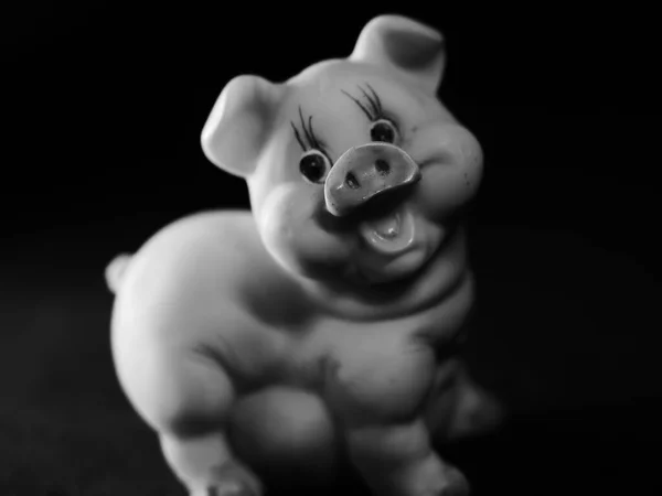 Tiro Tons Cinza Brinquedo Porco Plástico Fundo Preto — Fotografia de Stock
