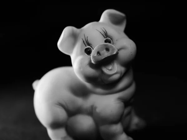 黑色背景的塑料猪玩具的灰度照片 — 图库照片