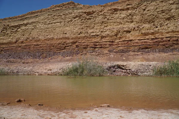 Uma Vista Rio Zin Deserto Negev Israel — Fotografia de Stock