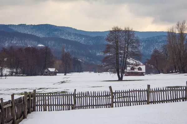 Vinterlandskap Landsbygda – stockfoto