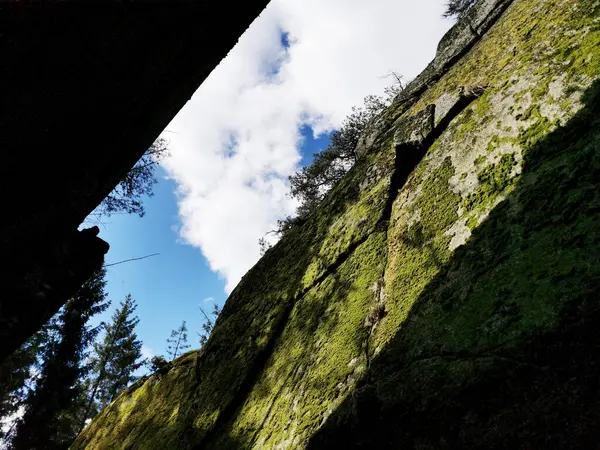 Mavi Bir Arka Planda Yeşil Yosunlarla Kaplı Kaya Kayalıklarının Yakın — Stok fotoğraf