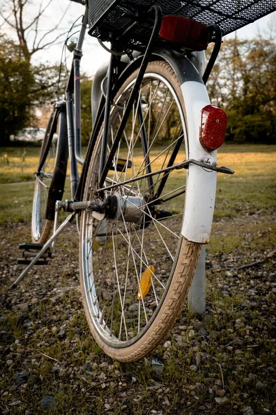 Widok Tyłu Dwukołowego Roweru Jesiennym Parku — Zdjęcie stockowe