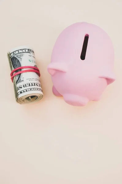 Vertical Shot Piggy Bank Rolled Dollar Stack Next — Stock Photo, Image