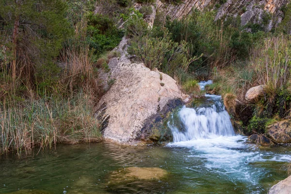 Una Hermosa Cascada Con Una Pequeña Piscina Agua Selva —  Fotos de Stock