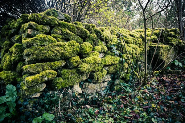 Eine Alte Steinmauer Mit Moos Bedeckt — Stockfoto