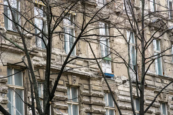 Eski Bir Taş Binanın Önünde Bir Çift Ağaç — Stok fotoğraf