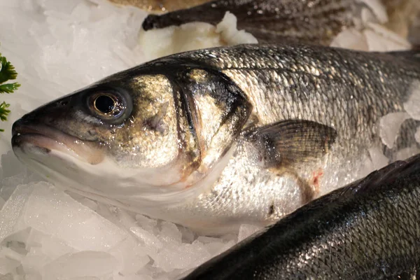 Stock image A closeup shot of fresh fish on ice at the fish market