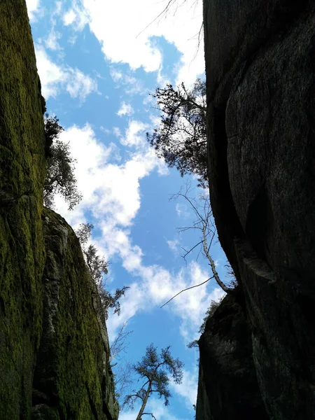 Plano Vertical Dos Acantilados Roca Cubiertos Musgo Verde Sobre Fondo —  Fotos de Stock