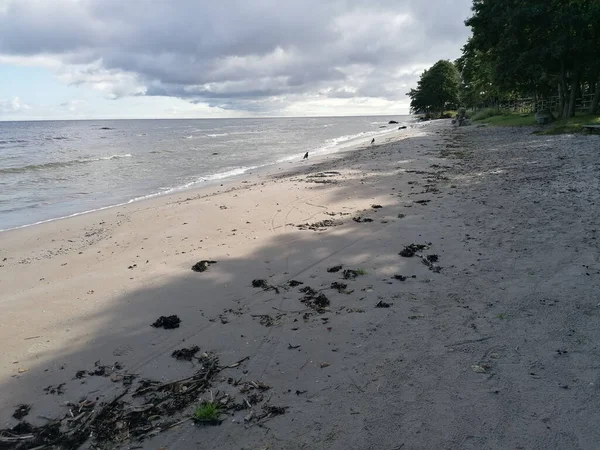 Une Plage Sable Avec Des Ombres Arbres Sur Sable Petits — Photo