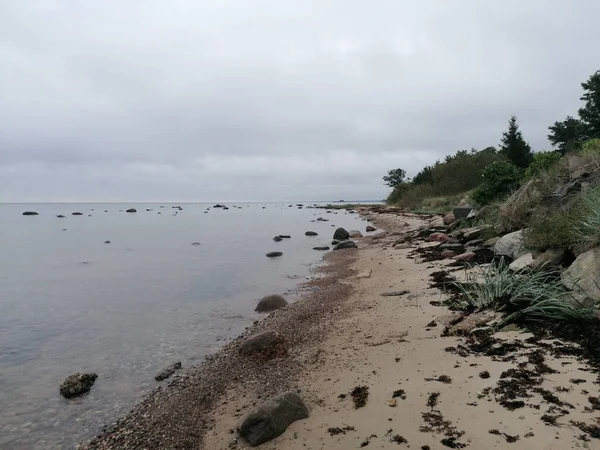 Mar Calmo Com Rochas Água Frente Árvores Arbustos Praia — Fotografia de Stock