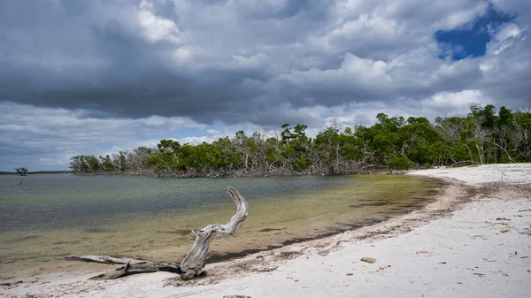 Pequeña Playa Jewell Key Una Isla Deshabitada Parque Nacional Everglades — Foto de Stock