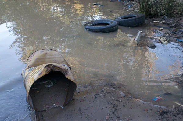 A closeup of a drum with dead fishes inside of it caused by pollution near a thermal power station