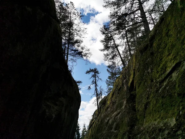 Detailní Záběr Dva Skalní Útesy Pokryté Zeleným Mechem Pozadí Modré — Stock fotografie