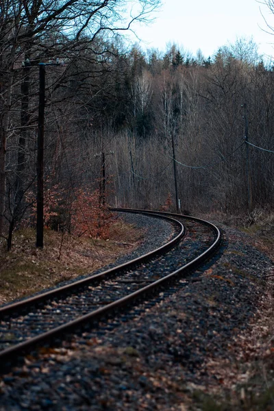 森林里的一张漂亮的铁路照片 — 图库照片
