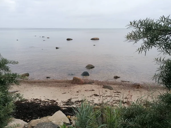 Ein Tropischer Strand Eingerahmt Von Blättern Auf Ästen Mit Blick — Stockfoto