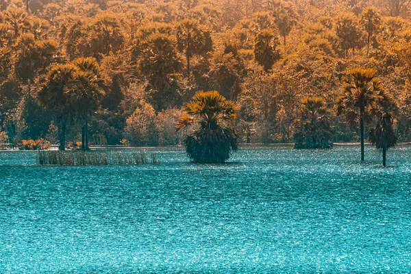 Beautiful View Lake Surrounded Lush Greenery Sunny Autumn Day — Stock Photo, Image