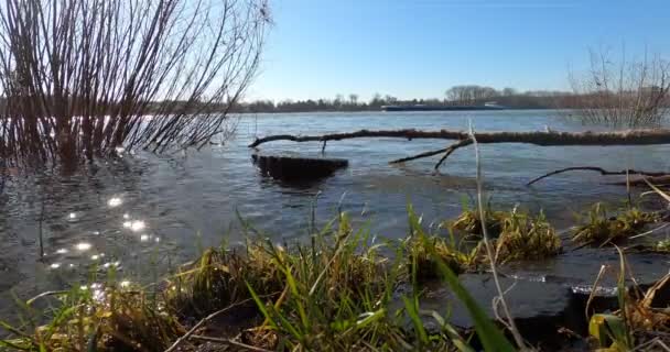 Piękny Krajobraz Rzeki Wiosna — Wideo stockowe