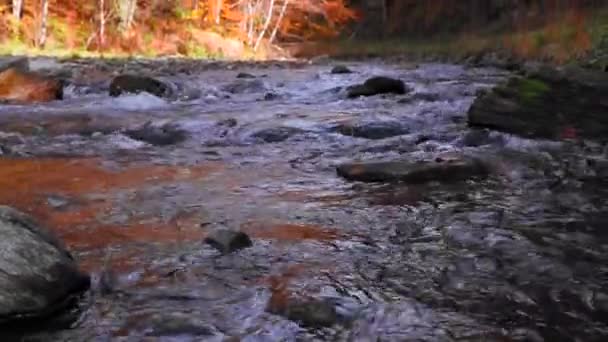 Krásná Podzimní Krajina Řekou Lesem — Stock video