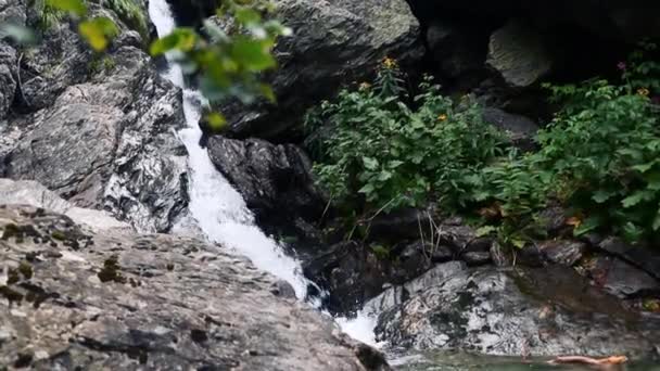 Красивый Водопад Лесу — стоковое видео