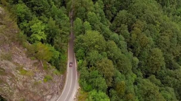 森林中道路的鸟瞰图 — 图库视频影像