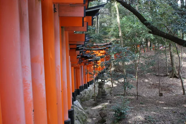 Una Hermosa Foto Del Santuario Zorros Kioto Japón — Foto de Stock