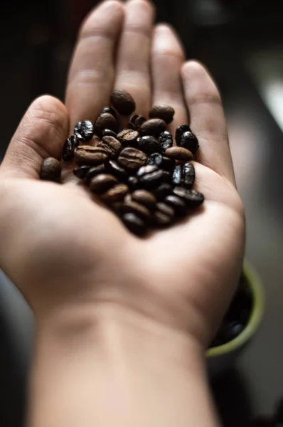 Vertical Shot Palm Holding Roasted Coffee Beans — Stock Photo, Image