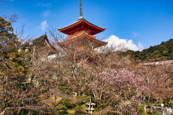 Plano Bajo Ángulo Del Templo Kiyomizu Dera Bajo Cielo Azul — Foto de Stock