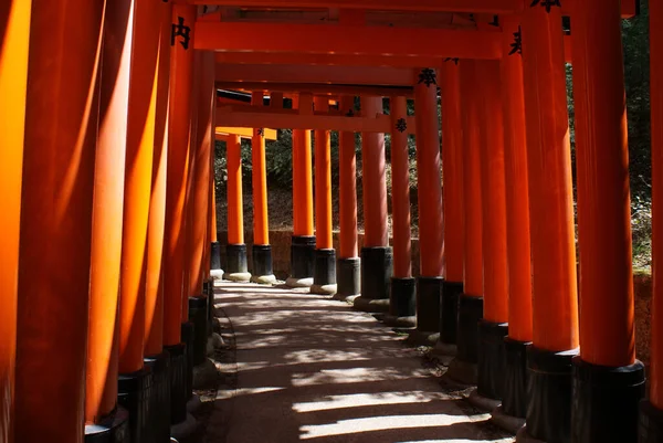 日本の京都狐神社伏見稲荷の美しいショット — ストック写真