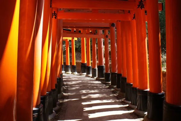 Uma Bela Foto Santuário Raposa Kyoto Fushimi Inari Japão — Fotografia de Stock