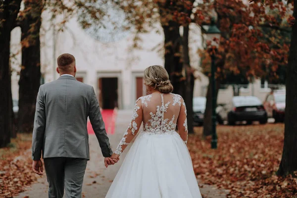 Une Belle Vue Une Mariée Marié Marchant Dans Parc — Photo