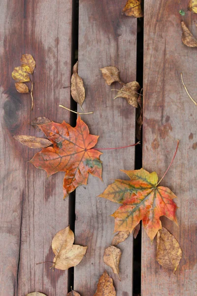Eine Vertikale Aufnahme Verschiedener Trockener Blätter Die Auf Eine Hölzerne — Stockfoto