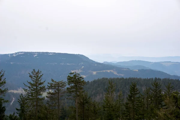 Een Antenne Uitzicht Beboste Bergen Een Mistige Dag — Stockfoto