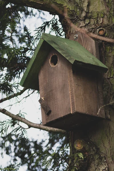 Plano Vertical Una Pajarera Madera Colocada Árbol — Foto de Stock