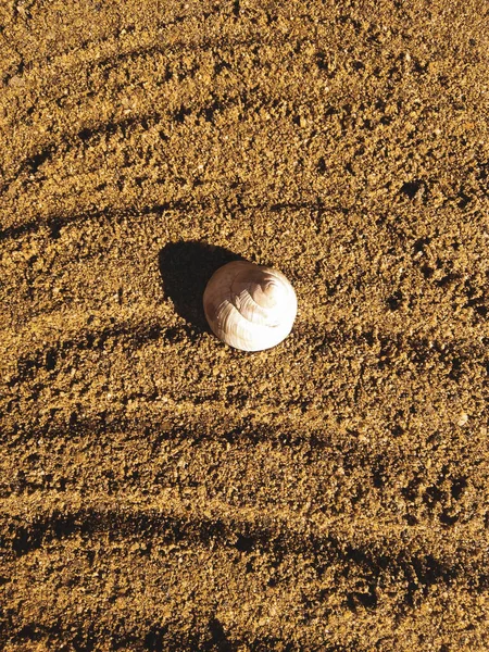 Eine Nahaufnahme Von Felsen Einer Schlange Sand — Stockfoto