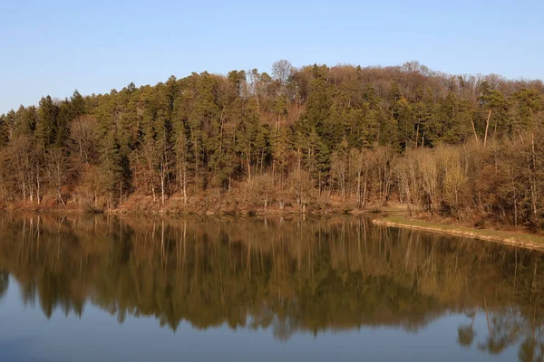 Belle Forêt Pins Automne Reflétée Dans Eau Lac Sur Fond — Photo