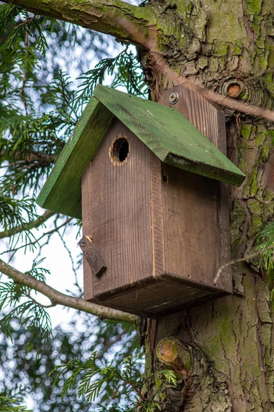 Een Verticaal Shot Van Een Houten Vogelhuisje Geplaatst Boom — Stockfoto